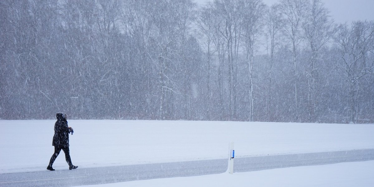 Роскосмос показал движение циклона, принесшего в Москву рекордные снегопады Роскосмос показал движение циклона, принесшего в Москву рекордные снегопады